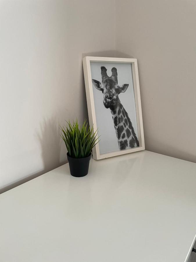 The Corner House - Modern Chesterfield Town Centre Apartments מראה חיצוני תמונה